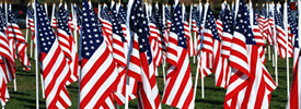 Veterans Day In Gatlinburg TN