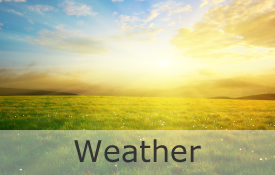 Weather Weather