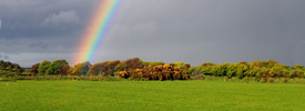 rainbow thumb